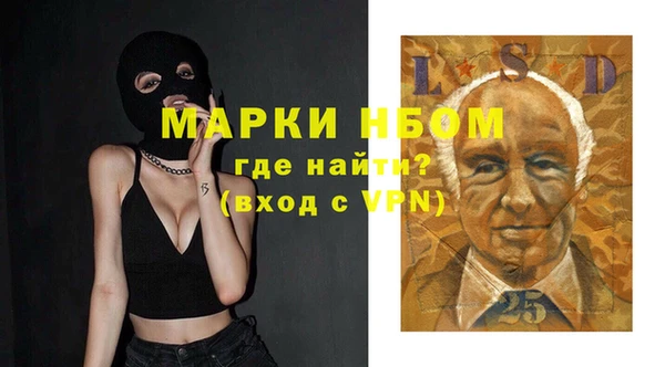 шишки Балабаново