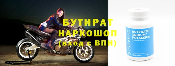 сатива Беломорск