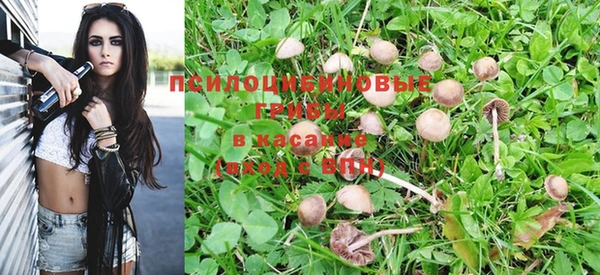 гидропоника Балахна