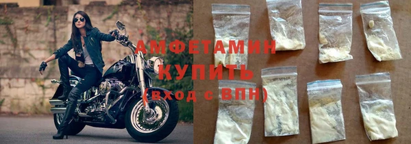 сатива Беломорск