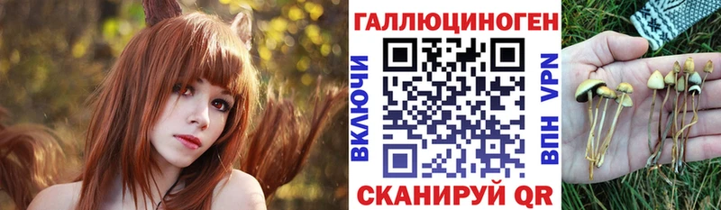 купить наркотик  Нижнеудинск  Галлюциногенные грибы Cubensis 